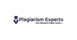 Plagiarism Experts